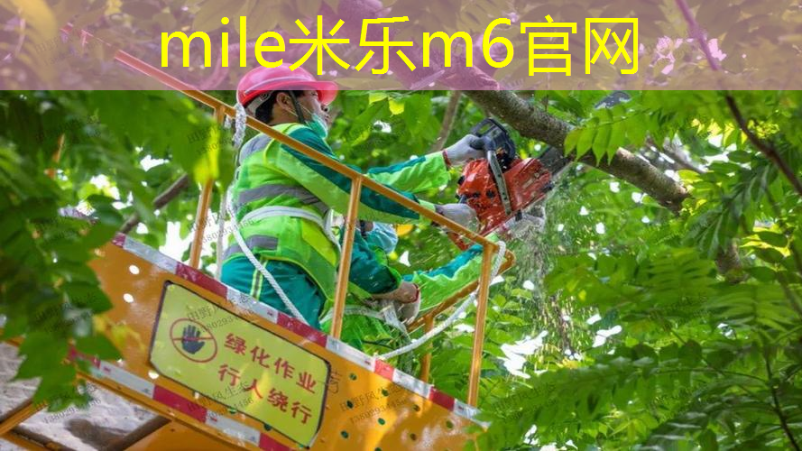 室内引体向上健身器安全吗